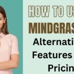 How To Use Mindgrasp AI Alternatives, Features And Pricing