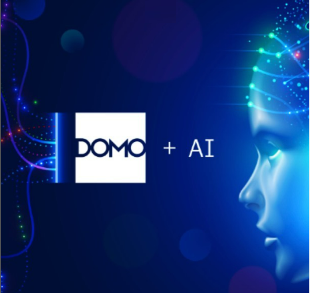 Domo ai app