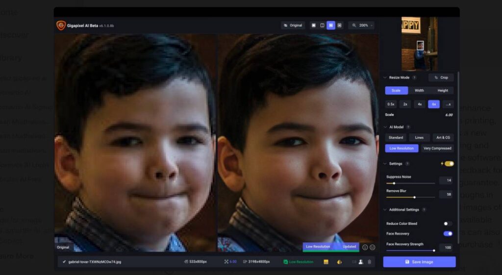 What is Topaz Gigapixel AI: How Does Gigapixel AI Work?